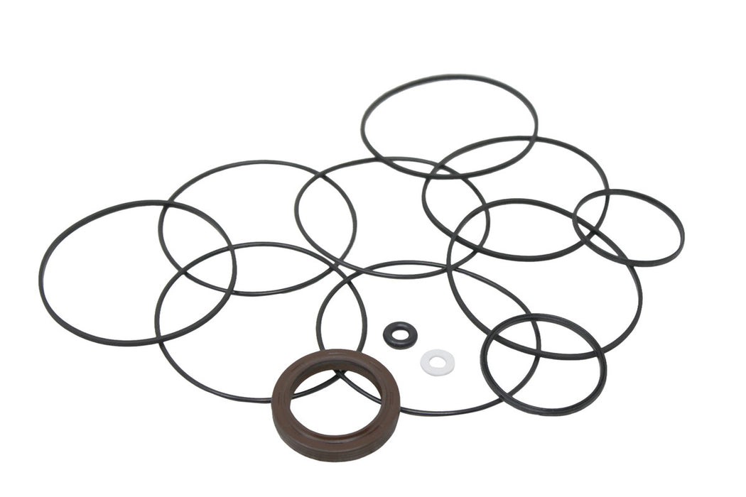 WTE-300333700 - Industrial Seal Kit by Forklifthydraulics Store powered by Aztec Hydraulics (Left Side view)